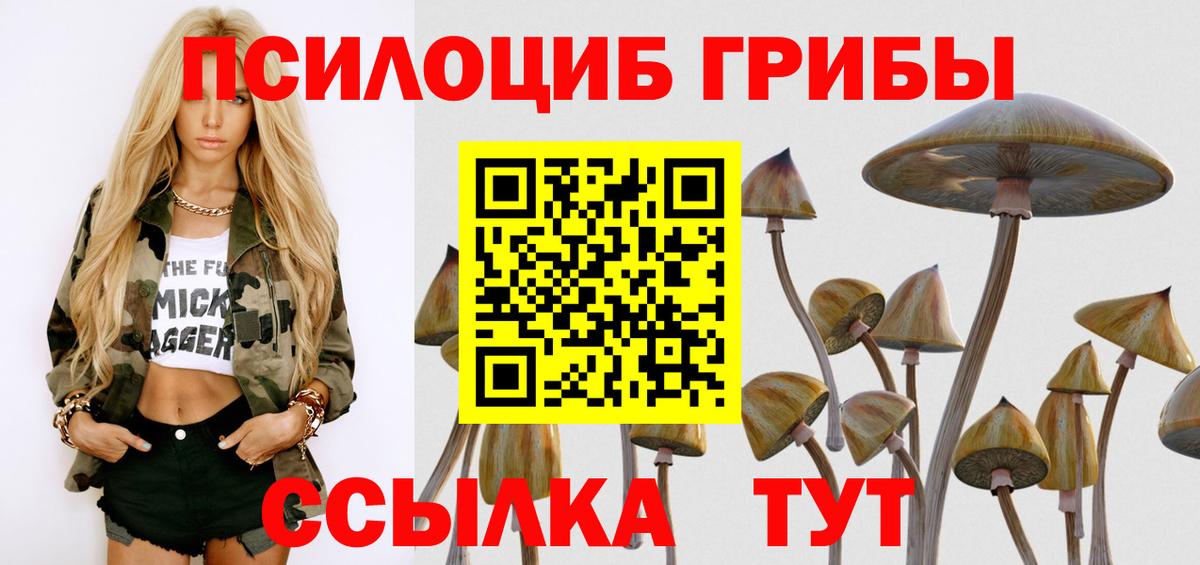 Псилоцибиновые грибы GOLDEN TEACHER Новосибирск