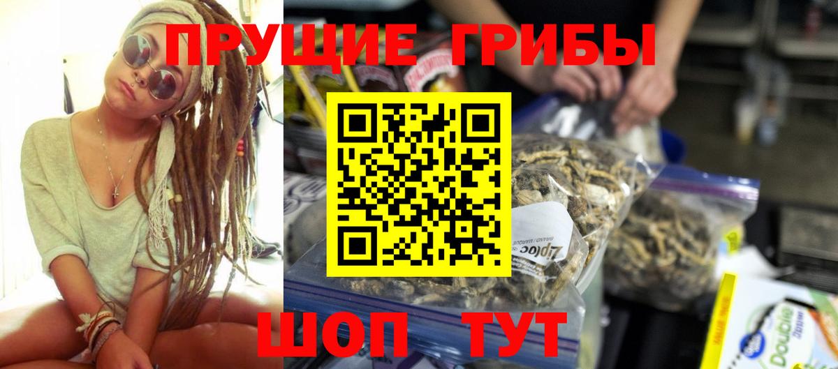 Псилоцибиновые грибы Cubensis  Галлюциногенные грибы мухоморы  Новосибирск  хочу наркоту  Вход с VPN 