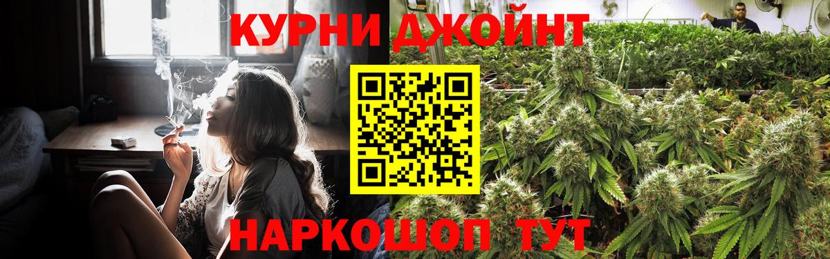 Бошки марихуана гибрид Новосибирск